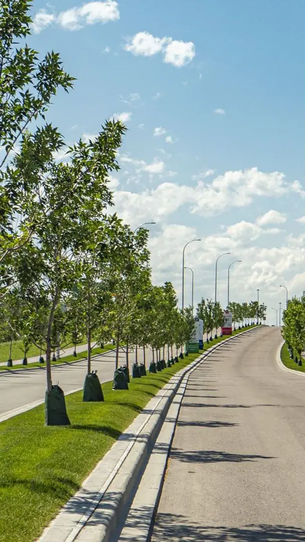 Greenview community